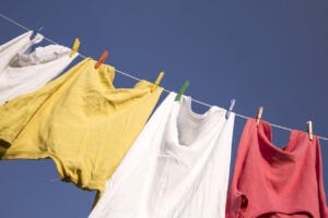 remove mould from clothes